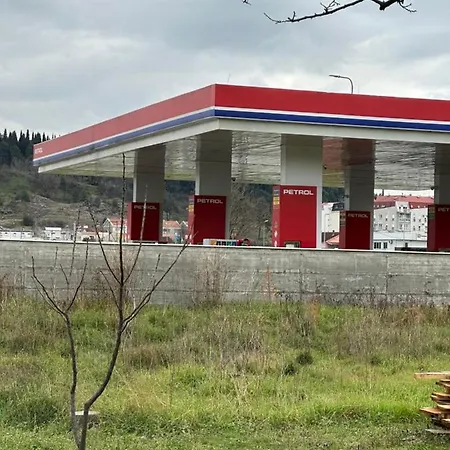 Selena Podgorica