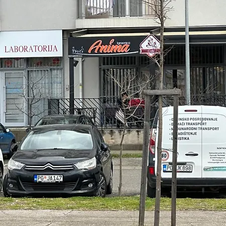 Apartament Selena *
