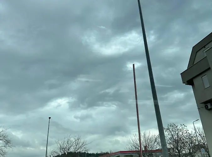 Selena * פודגוריצה