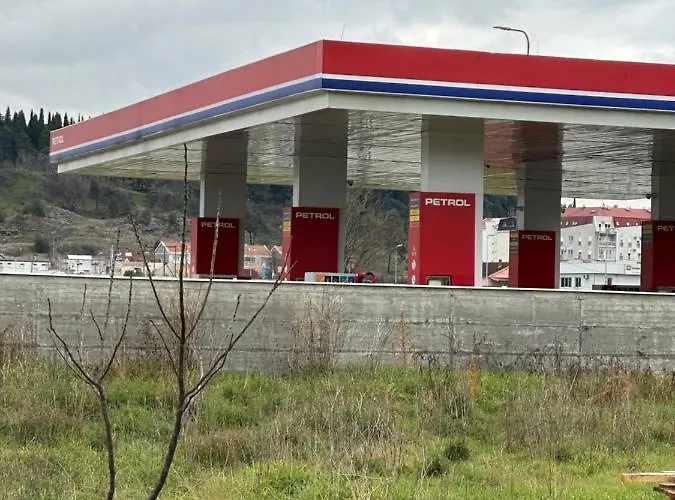 Selena פודגוריצה