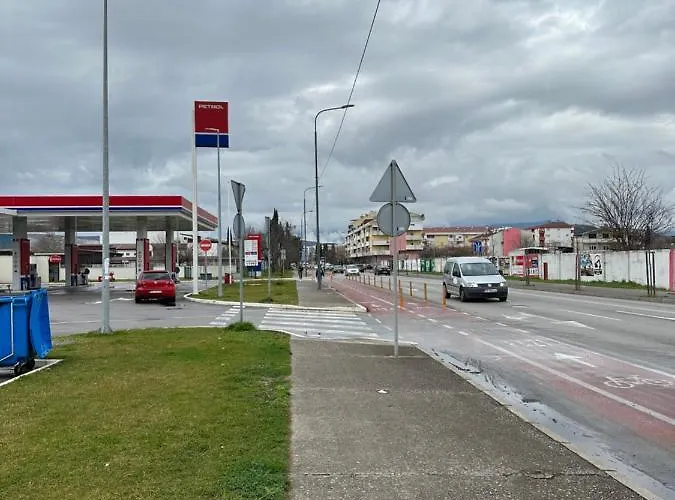 Selena * פודגוריצה